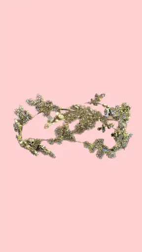 [0002279] CORONA / DIADEMA TC461